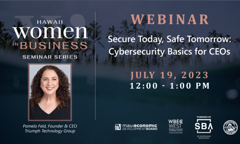 WEBINAR – Secure Today, Safe Tomorrow: Cybersecurity Basics for CEOs