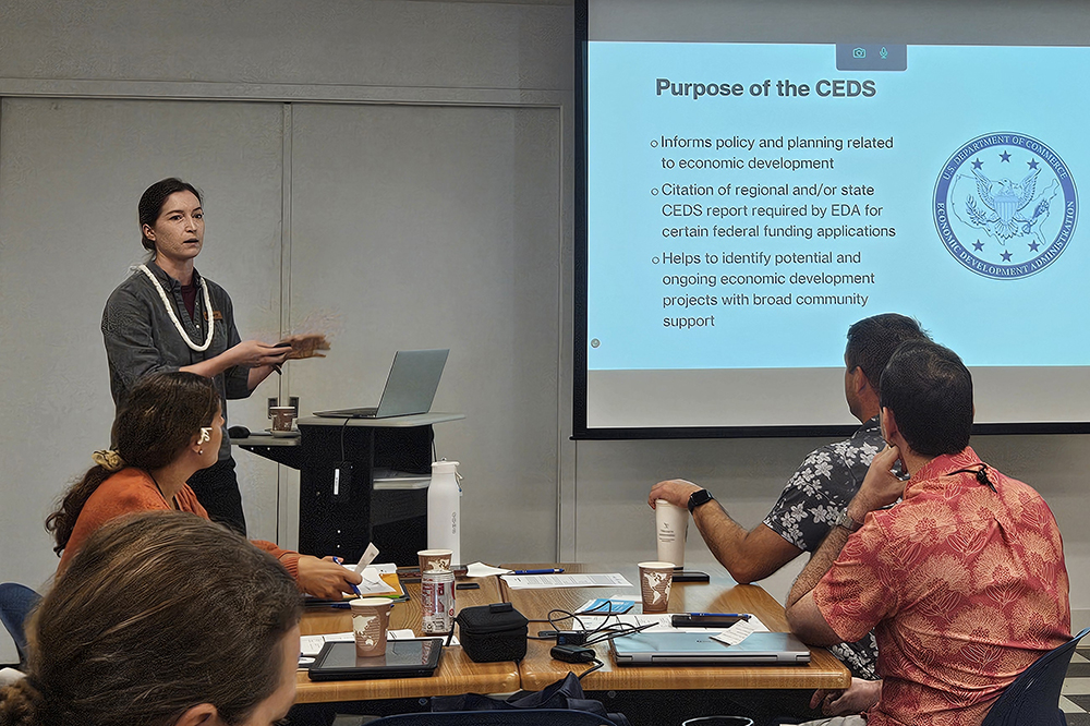 Hannah Trees, Maui Economic Development Board